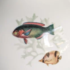 Grand Tour by Vito Nesta Amami Amphora Vaso in porcellana con pesci tropicali H27Cm