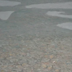 Angus Hampel C'è molto di più nella pittura