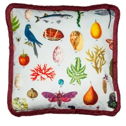 Grand Tour by Vito Nesta Cabinet De Curiosités Cuscino in velluto con elementi naturali #1