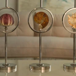 Petri Firenze Candeliere con riccio di mare