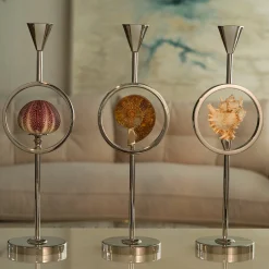 Petri Firenze Candeliere in ammonite