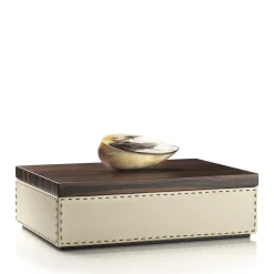 Arcahorn CAPRICIA box #7