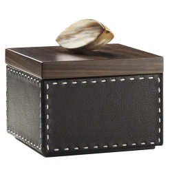 Arcahorn CAPRICIA box #8