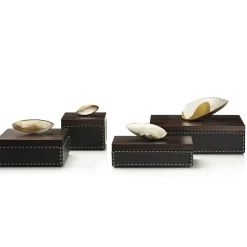 Arcahorn CAPRICIA box #1