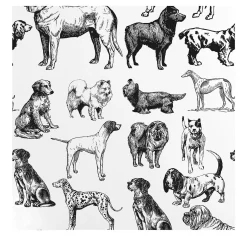 Wallpapers4Beginners Carta da Parati con Cani Disegnati a Mano in Bianco e Nero