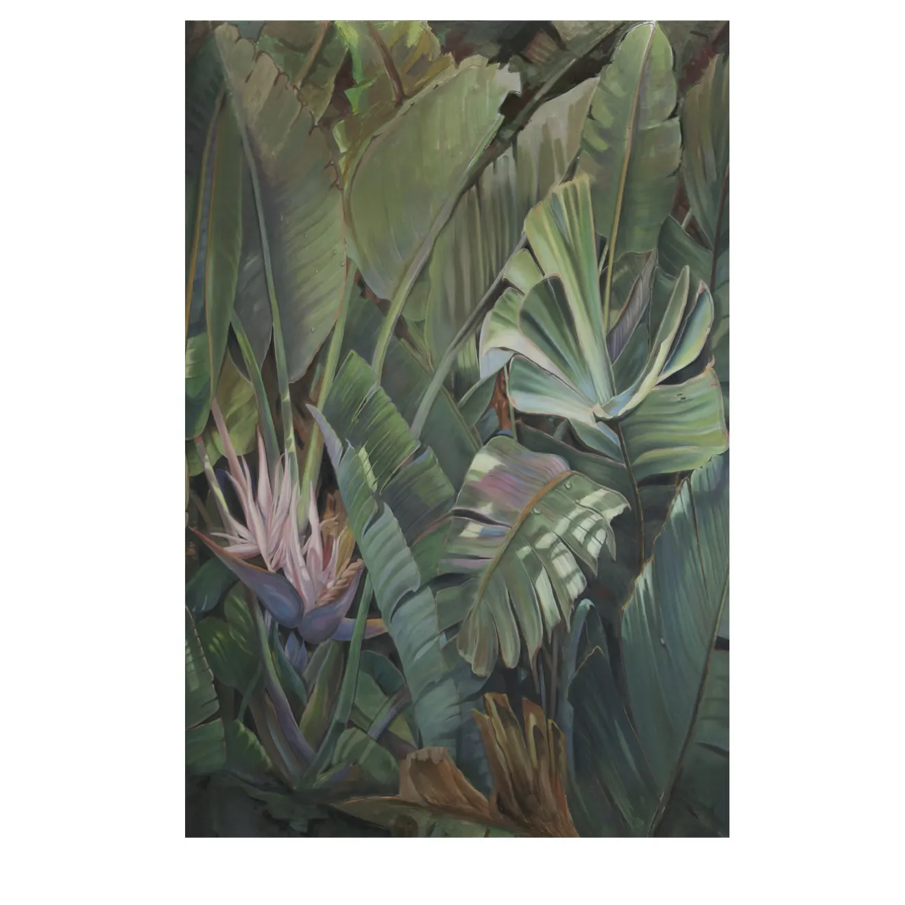 Larghevedute Carta da parati della foresta tropicale