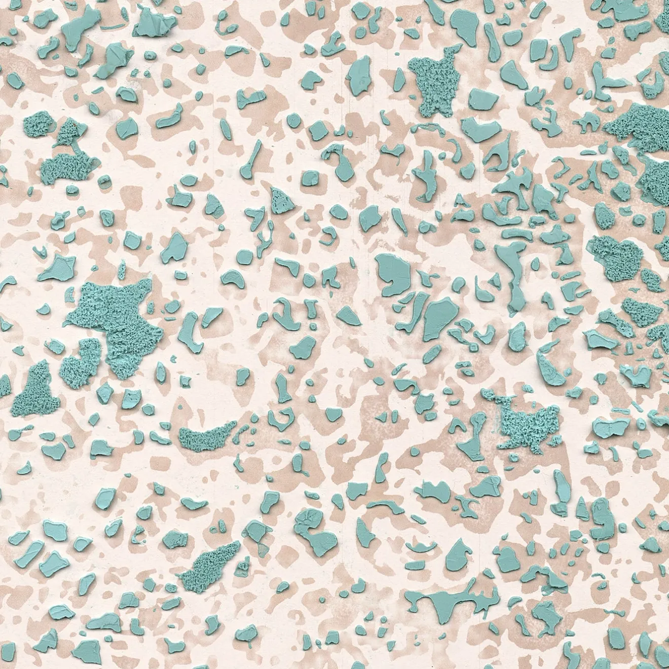 Fabscarte Carta da parati Licheni