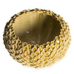 ND Dolfi Ciotola in maiolica Toscana