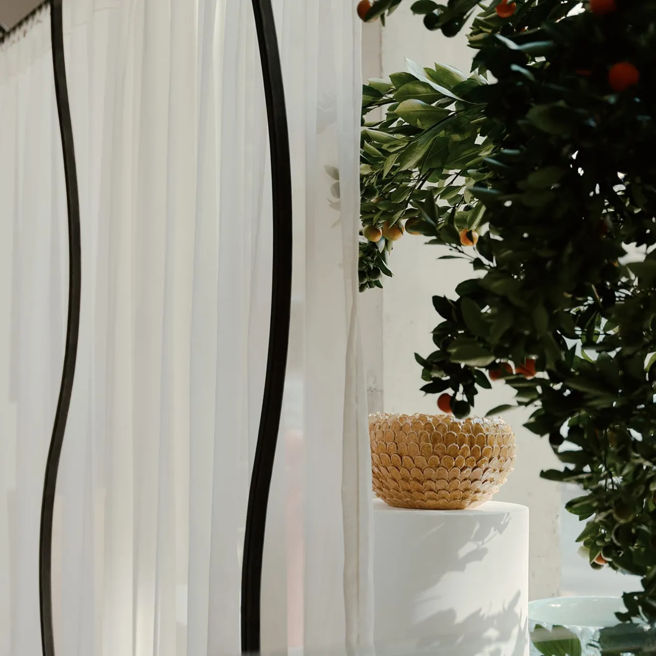 ND Dolfi Ciotola in maiolica Toscana