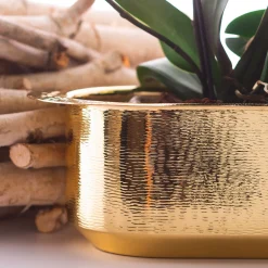 Zanetto Davanzale Window Box