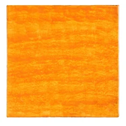 Studio Le Nid Dejavu Ficus Indica Set di 25 piastrelle arancioni