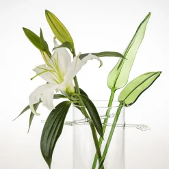 Casarialto Grande vaso tropicale Kansashi