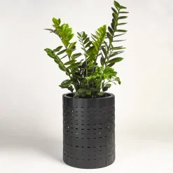 Splot Design Juncus Black Cachepot
