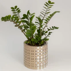 Splot Design Lux Trabem Cachepot d'oro e d'argento