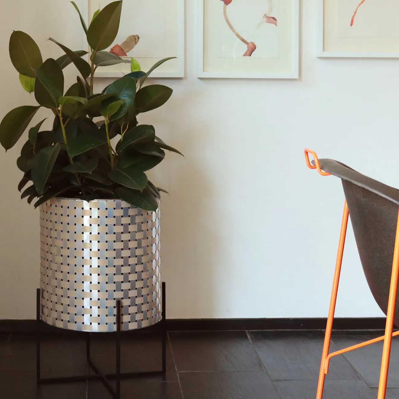 Splot Design Nexum Optical 30 Oro Cachepot