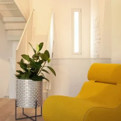 Splot Design Nexum Optical 30 Oro Cachepot