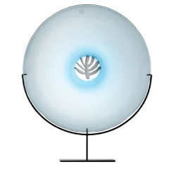 Venini Piatto decorativo Quattro Stagioni Inverno