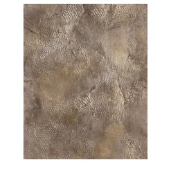 Fabscarte Pittura del cosmo