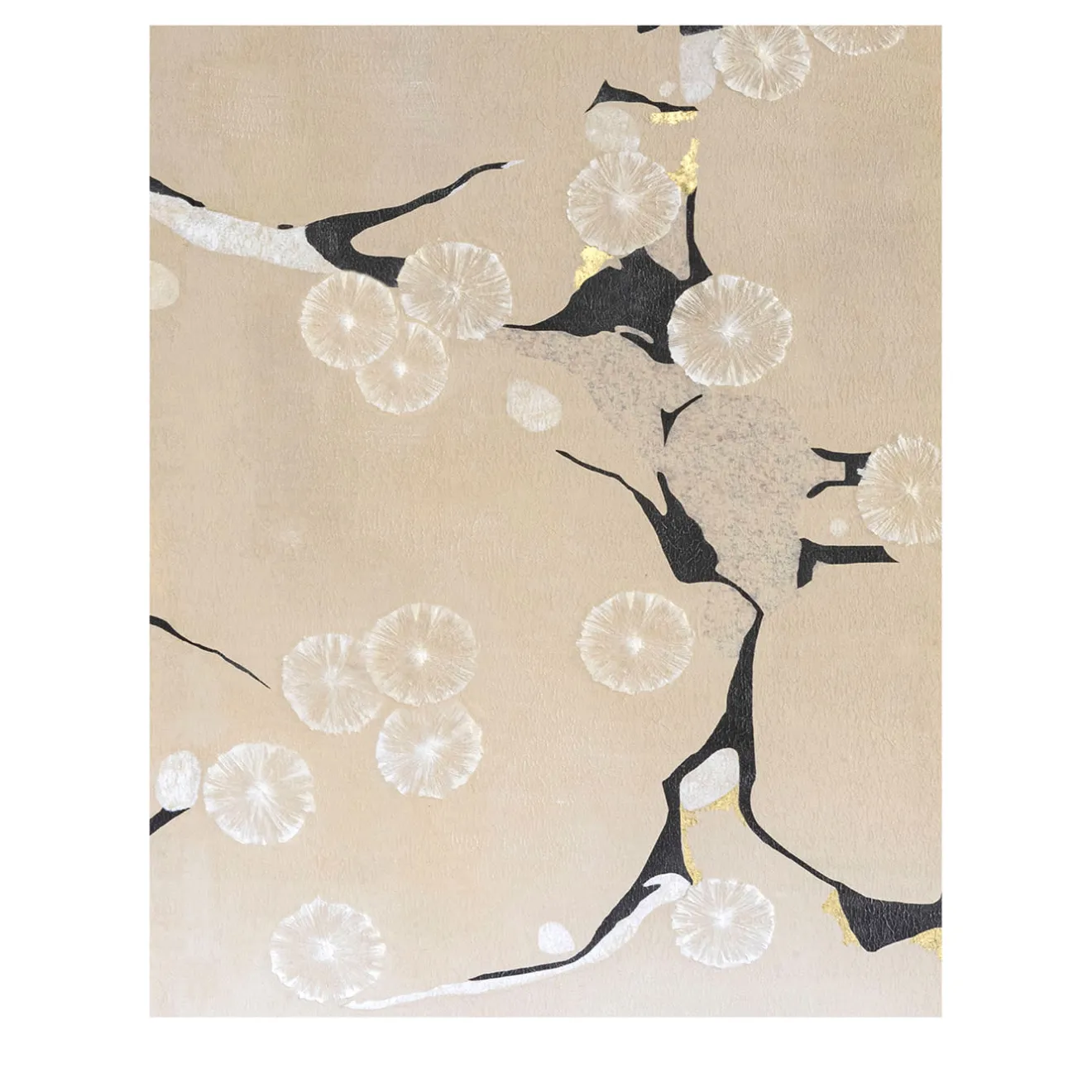 Fabscarte Pittura Tender Flora