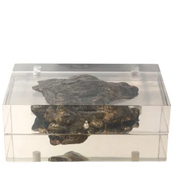 JCP Universe Scatola azimutale sideroide di Nikos Sideris e CTRLZAK