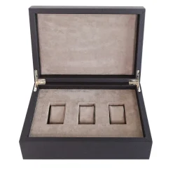 Cassigoli Scatola per orologi Stingray