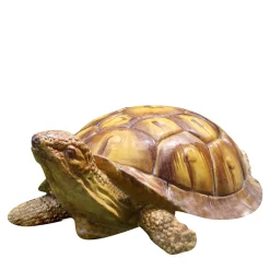 Ceramiche Ceccarelli Scultura di tartaruga gigante