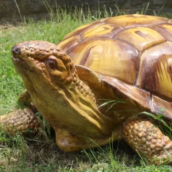 Ceramiche Ceccarelli Scultura di tartaruga gigante