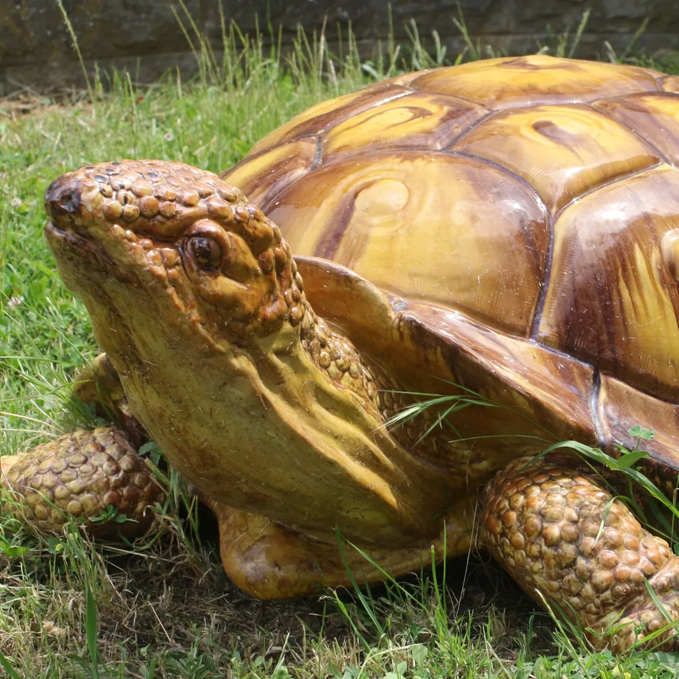 Ceramiche Ceccarelli Scultura di tartaruga gigante