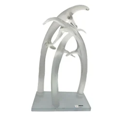 Fornace Mian Scultura in cristallo trasparente Corni