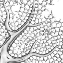 Simone Crestani Scultura in vetro di corallo