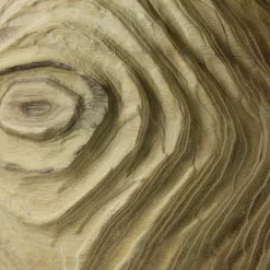 Nicola Tessari Scultura sferica di locuste nere di forma cava Impossiballs