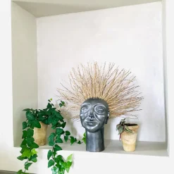 Freaklab Scultura Testa riccia