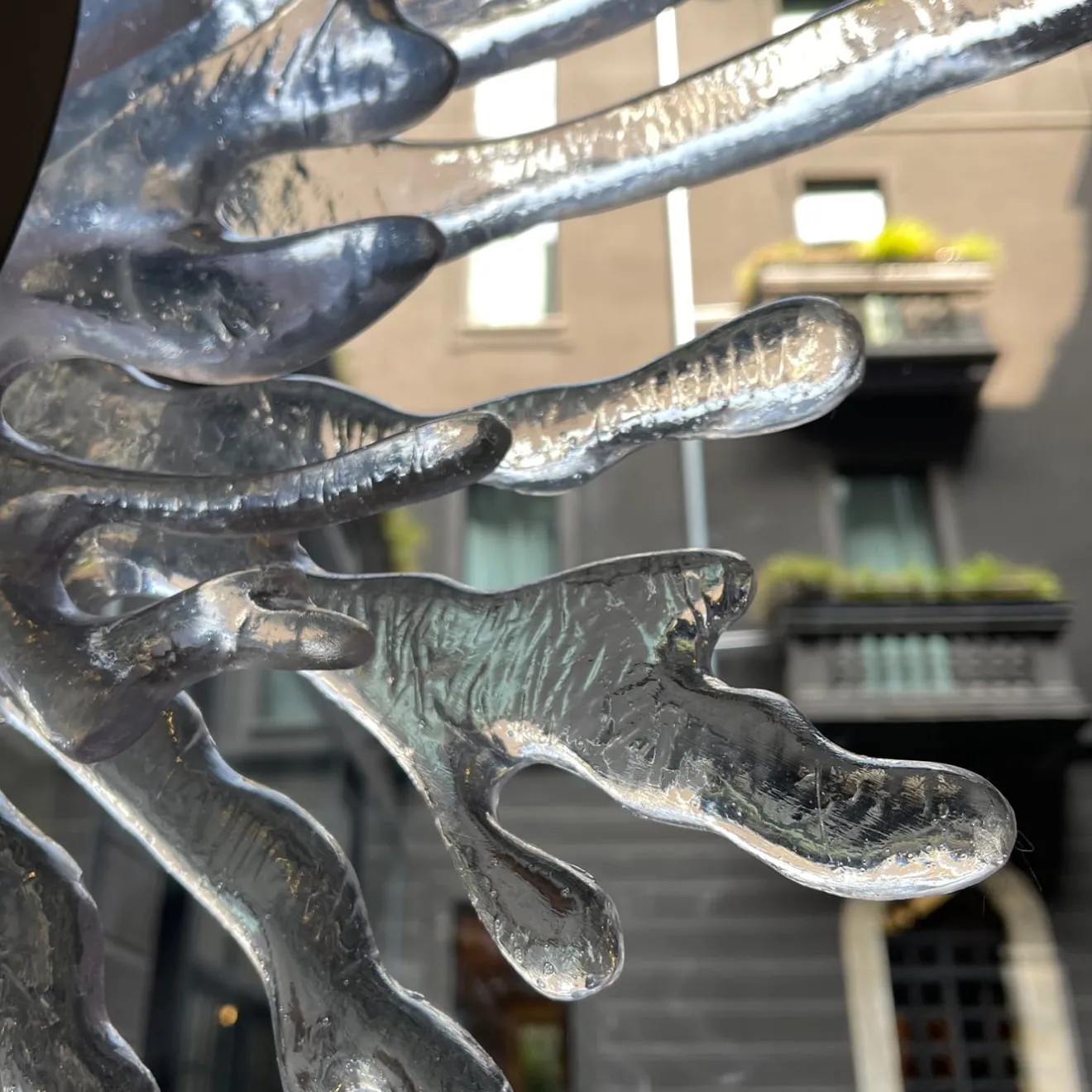 Cedrimartini Specchio da parete Narciso Autunno