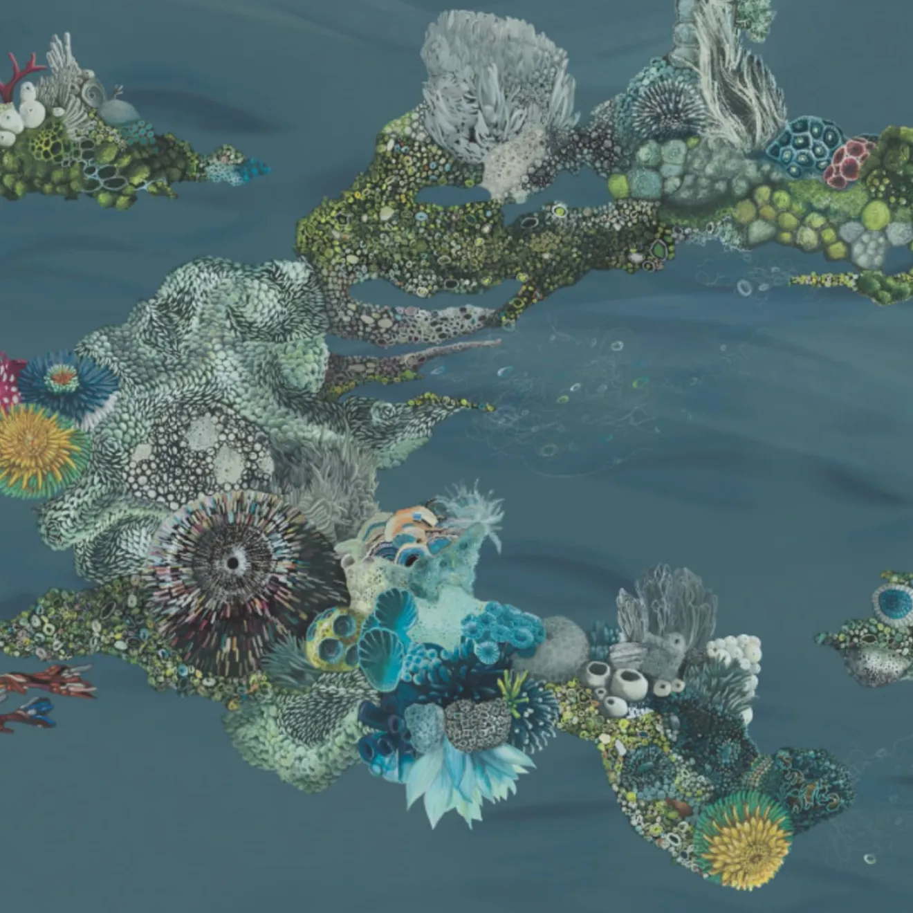 KOHRO Tessuto di rivestimento murale in poliestere Blue Patch Reef