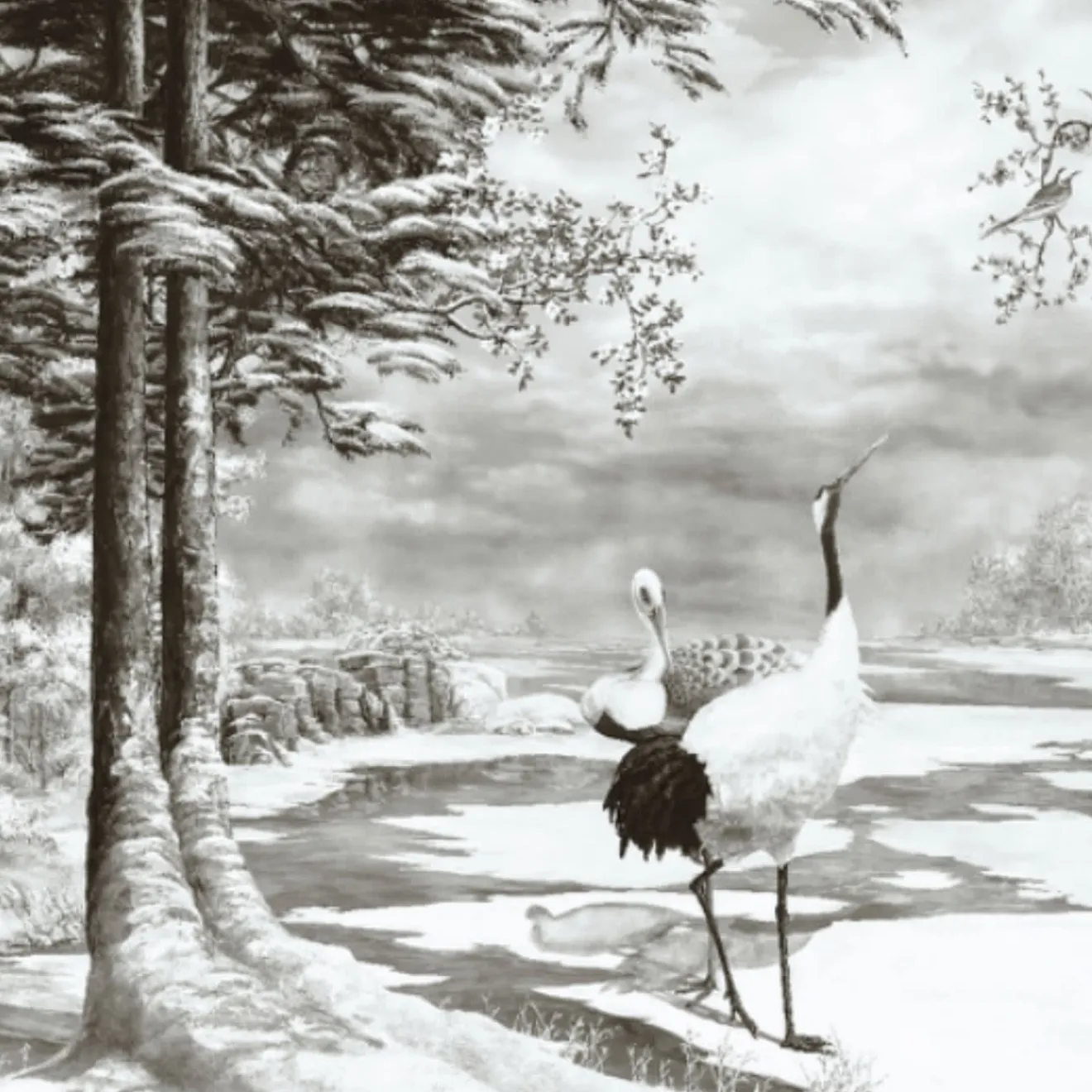 KOHRO Tessuto murale in cotone con stagni irlandesi grigio e blu chiaro