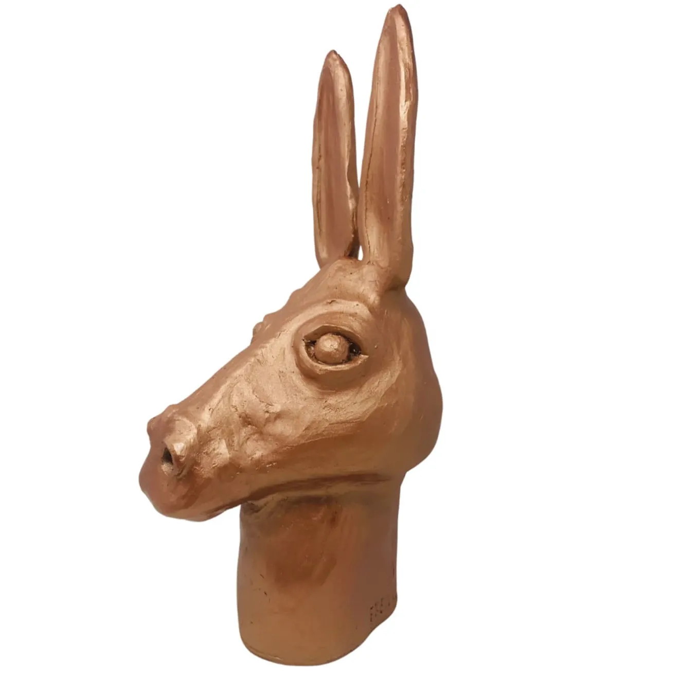 Freaklab Testa d'asino in bronzo