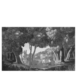 Officinarkitettura Trompel'Oeil B Panorama Carta da parati