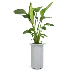 Scapin Collezioni Un vaso