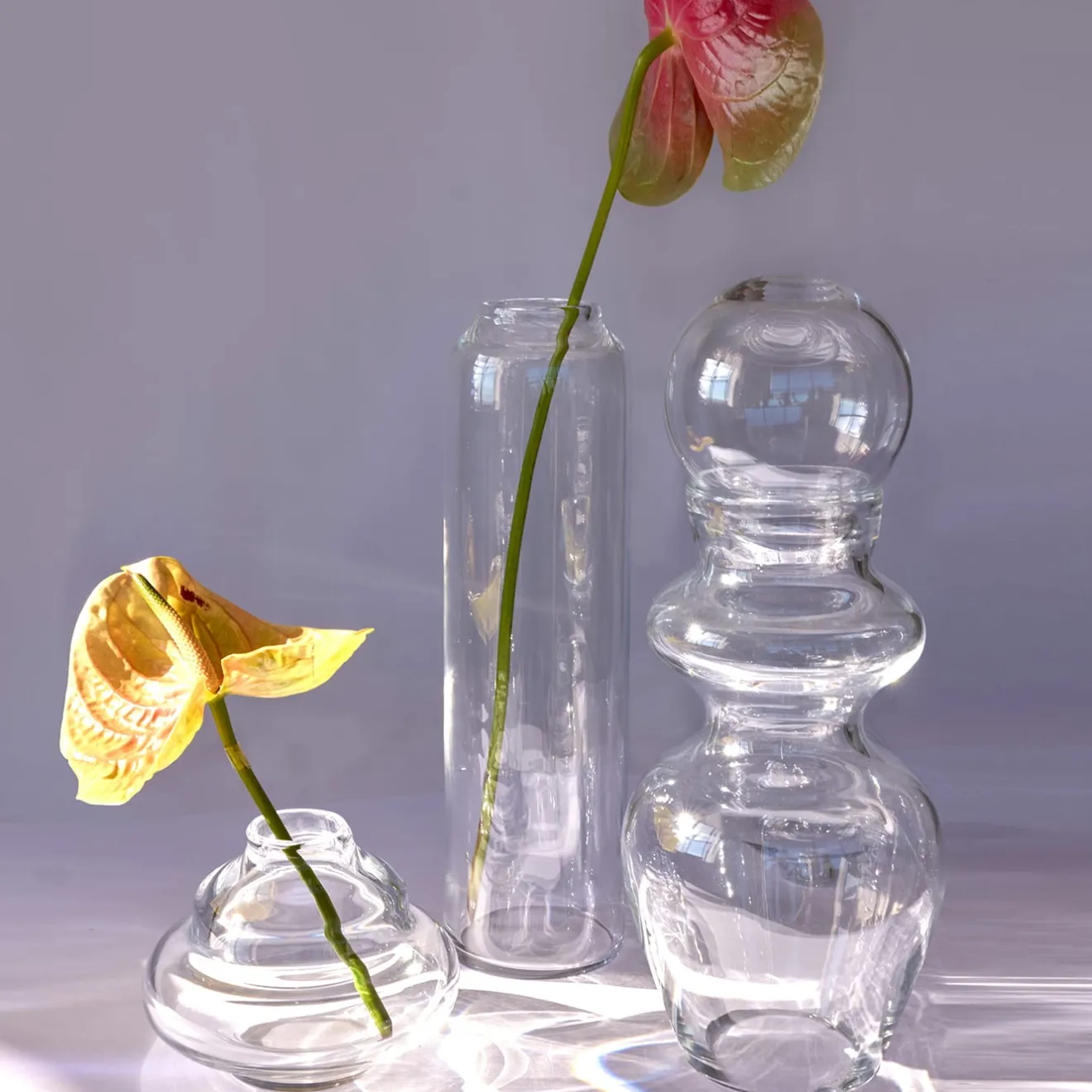 Studio Bojola Vaso Alicudi