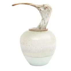 Amaaro Vaso Canopo ibis