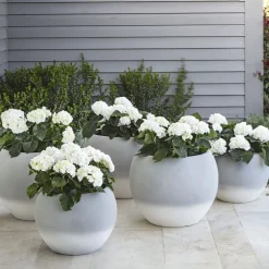 Pot à Porter Vaso Cortina