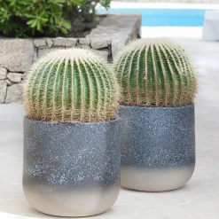 Pot à Porter Vaso di Porto Cervo