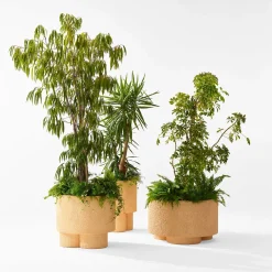 Cimento Vaso Erasmo di Patricia Urquiola