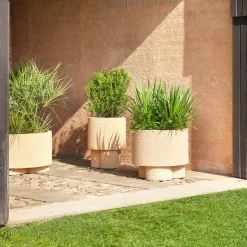 Cimento Vaso Erasmo di Patricia Urquiola