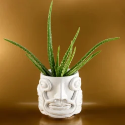 Freaklab Vaso Eye Bianco