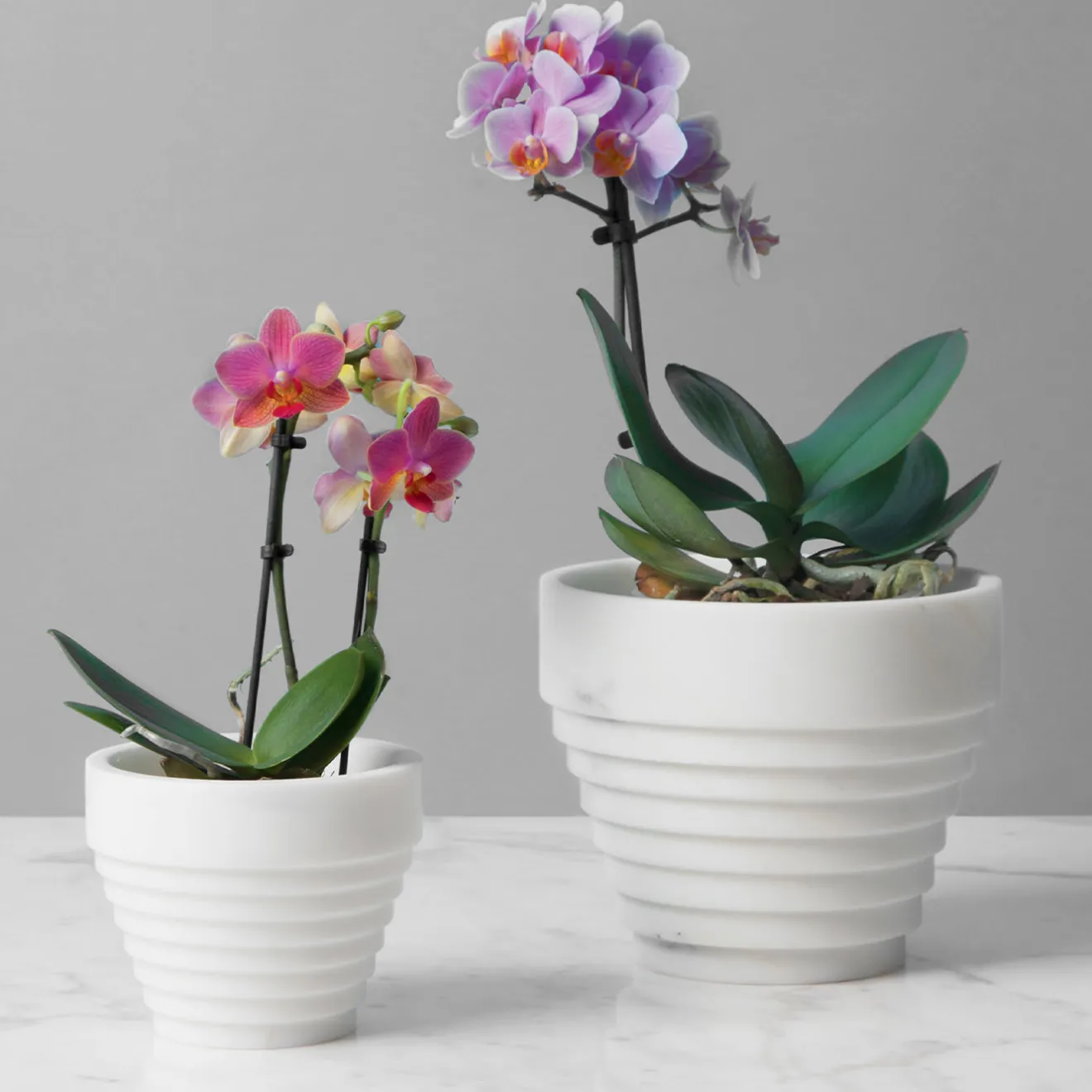 MMairo Vaso Guggenheim White Michelangelo di Michele Chiossi