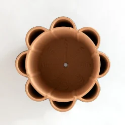 Sabrina Sguanci Baroni Vaso Ydra 2