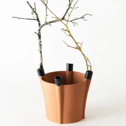 Sabrina Sguanci Baroni Vaso Ydra 3