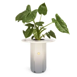 Scapin Collezioni Vaso Zeta