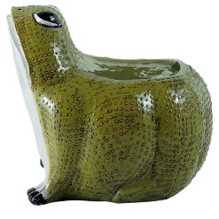 Ceramiche Ceccarelli Videopoche verde rana